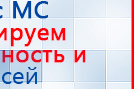Аппарат магнитотерапии АМТ «Вега Плюс» купить в Абакане, Аппараты Меркурий купить в Абакане, Скэнар официальный сайт - denasvertebra.ru